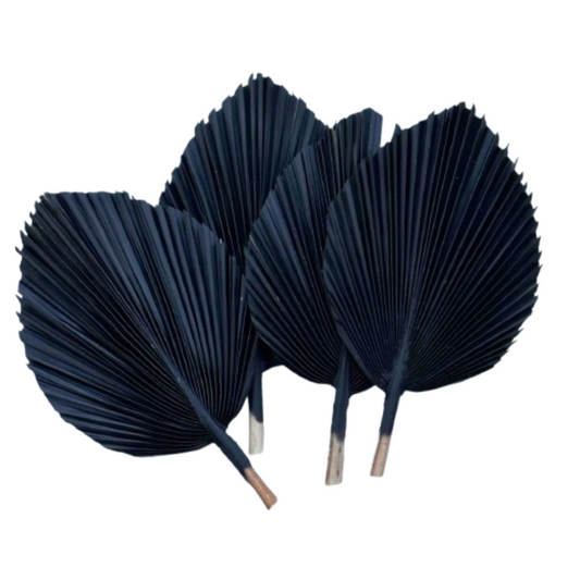 14" Natural Dried Palm Leaf